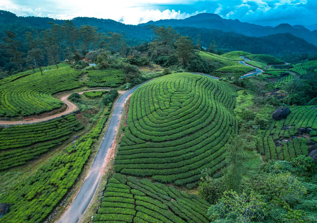 Munnar