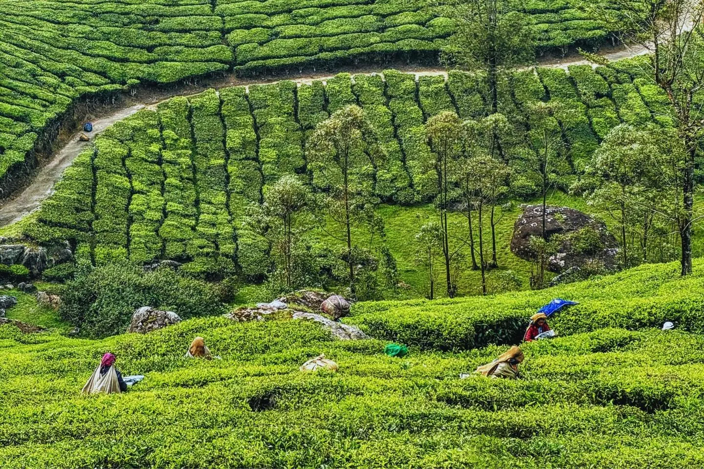 Munnar